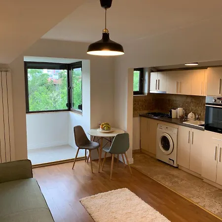 Apartment Floreasca Bach