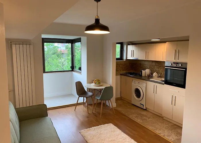 Apartment Floreasca Bach