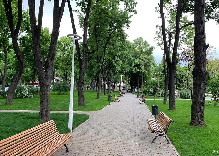 Floreasca Bach Apartmán